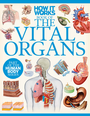 The Vital Organs