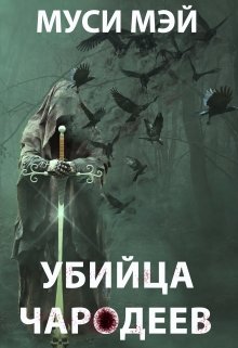 Убийца чародеев [СИ]