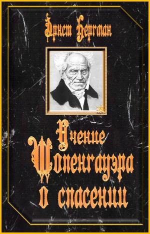 Учение Шопенгауэра о спасении