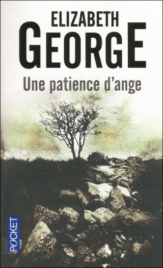 Une Patience d'ange [In Pursuit of the Proper Sinner]