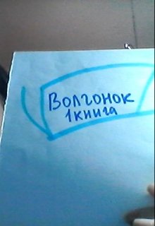 Волчонок 1книга