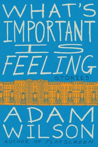 What's Important Is Feeling [A collection of stories]