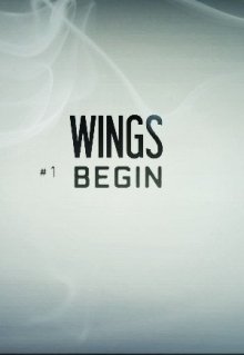 Wings:begin