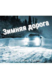 Зимняя дорога.